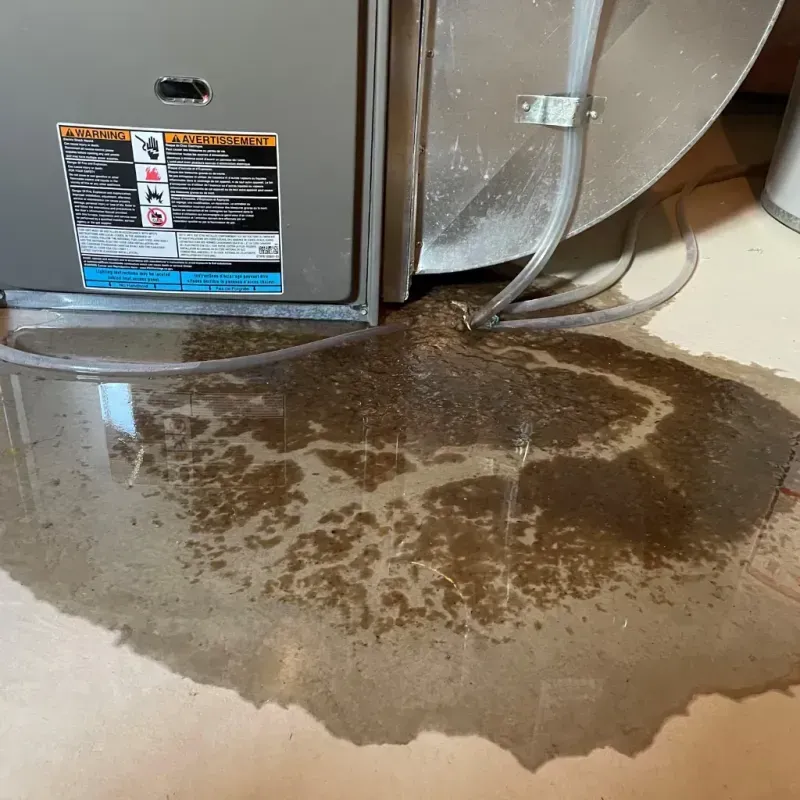 Appliance Leak Cleanup in Meadview, AZ